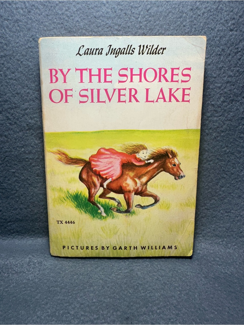 "By the Shores of Silver Lake" - Pink Cover Edition
